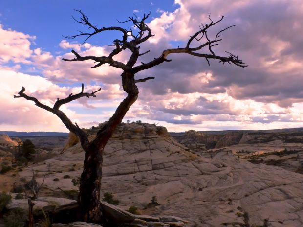 11337126_10153281326448886_7539550787789262272_o