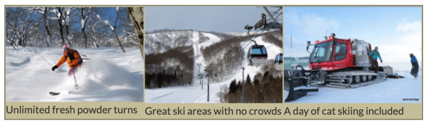 Screen Shot 2019-09-15 at 9.52.35 AM.png